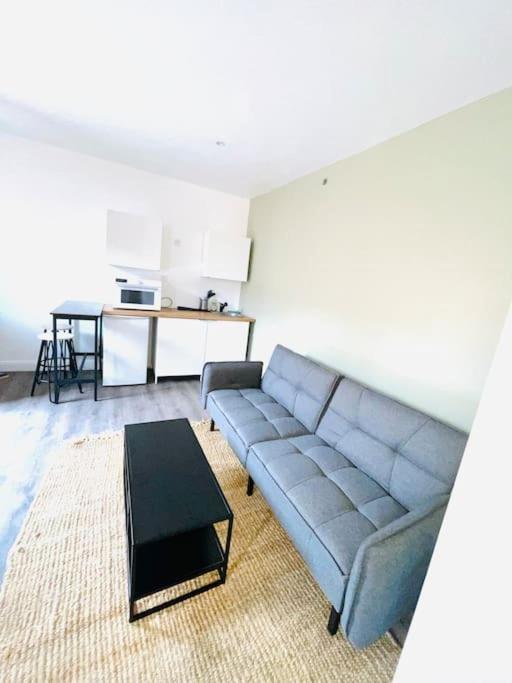 Studio Tout Equipe Au Calme Et Chaleureux Apartment Saint-Etienne  Luaran gambar